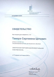 Сертификат Электронная торговля и интеллектуальная собственность